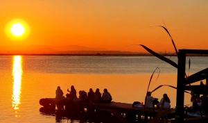 Gallery image of Albufera Rooms in Valencia