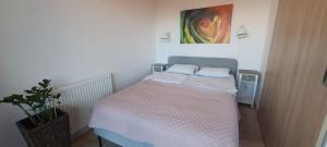 Posteľ alebo postele v izbe v ubytovaní Triventi Apartament Rajski