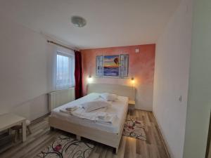 a small bedroom with a bed and a window at Pensiunea Dara in Râşnov