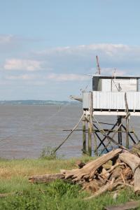 Ảnh trong thư viện ảnh của La Maison Bois Carré ở Saint-Yzans-de-Médoc +18 ảnh