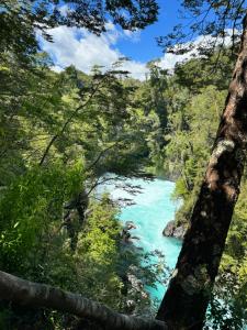 a river in the middle of a forest at Casa Encantada HuiloHuilo in Puerto Fuy