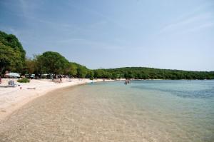 罗维尼Maistra Camping Veštar Pitches的一群人在水中的海滩