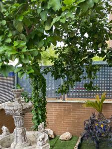 une fontaine en pierre dans un jardin avec un arbre dans l'établissement Glass Student-Übica2 Guesthouse, à Mairena del Aljarafe