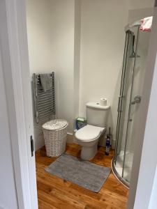 a bathroom with a toilet and a shower at Aspect apartments in Chesham