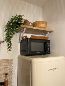 a microwave sitting on top of a refrigerator at Le Ludz Blagnac in Blagnac