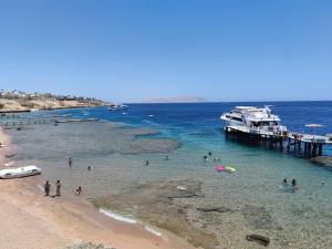 a group of people in the water at a beach at Sunshine Divers Club in Sharm El Sheikh