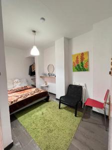 1 dormitorio con 1 cama, 1 silla y 1 alfombra verde en HotSpot Valencia, en Valencia