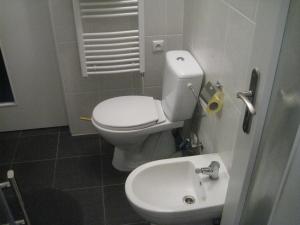een kleine badkamer met een toilet en een wastafel bij Chata U Jirky 