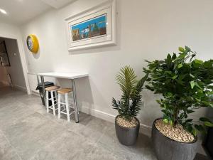 a room with two potted plants and a table at Boutique Style Apartment Belfast in Belfast