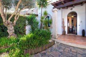 une maison avec une cour avec un arbre dans l'établissement Villa Deseo, à Alghero