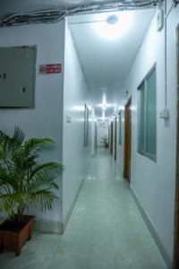 a hallway of a building with white walls and a plant at Hotel City International Green Road in Dhaka