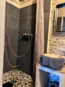 y baño con ducha y lavamanos. en Petit studio Le Pigeonnier à 5 mn de Lourmarin en Puyvert
