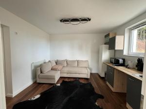 Η κουζίνα ή μικρή κουζίνα στο Chalet Weiß