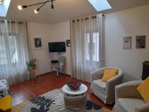 Roveredo的住宿－塞克與艾薇塔公寓，带沙发和电视的客厅
