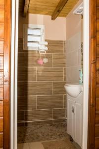 W łazience znajduje się prysznic, umywalka i toaleta. w obiekcie Charmant chalet belle vue sur la mer 100% autonome w mieście Le Gosier
