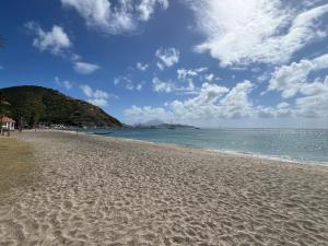 uma praia de areia com vista para o oceano em Cozzy Apartment on the Caribbean side-Frigate Bay em Frigate Bay