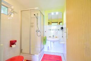 a bathroom with a shower and a sink at Bauernhof Apartment Hieß in Bad Kleinen