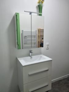 W łazience znajduje się umywalka i lustro. w obiekcie La Cigale w mieście Soissons