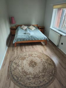 Schlafzimmer mit einem Bett mit einem Teppich und einem Fenster in der Unterkunft Apartament Zającówka - centrum miasta w leśnej enklawie in Szklarska Poręba