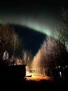 uma luz verde no céu sobre uma floresta à noite em Audkula Dome Cabin em Hella