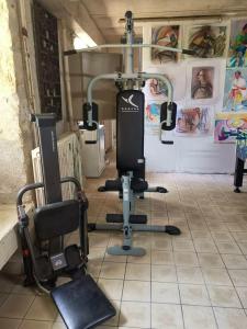 a gym with two exercise equipment in a room at Demeure de 7 chambres avec piscine privee terrasse et wifi a Mosnay in Mosnay