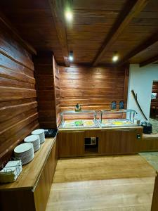 a kitchen with a sink and wooden walls at Resort Lucky Jasna in Belá