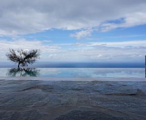 a tree sitting in the middle of the water at Point of View Andromeda in Drymon