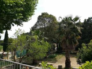 uma palmeira num jardim ao lado de uma cerca em Maison dans un mas le Moulin Piot em Bellegarde