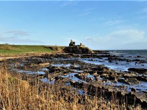 a rocky shore with a castle in the distance at 1 Bed in St Monans 41693 in Saint Monance
