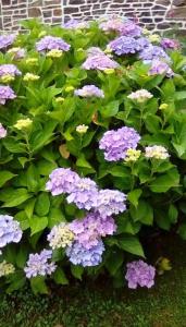 Fotografie z fotogalerie ubytování La Reposee v destinaci Larchamp