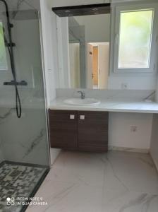 y baño con lavabo y ducha con espejo. en cosy appartement 6 pers grand jardin, en Vitry-sur-Seine