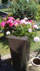 Fotografie z fotogalerie ubytování La Reposee v destinaci Larchamp + 24 fotografií