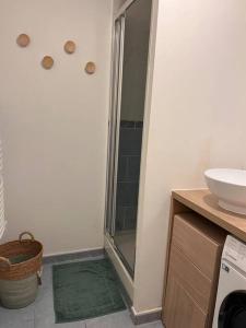 W łazience znajduje się prysznic i umywalka. w obiekcie Appartement 2 pièces Bois d’Arcy w mieście Bois-dʼArcy