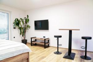 TV a/nebo společenská místnost v ubytování Lanškroun apartmány v centru