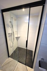 baño con cabina de ducha con puerta de cristal en Apartment Lilo-Studio by Interhome en Beatenberg
