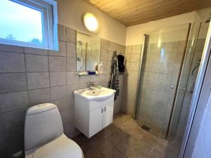 a bathroom with a toilet and a sink and a shower at Holiday Home Geske - all inclusive - 3-2km from the sea in Sealand by Interhome in Eskebjerg