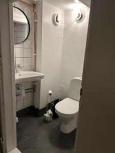 a bathroom with a white toilet and a sink at Edänge 61 in Ljusdal +18 photos