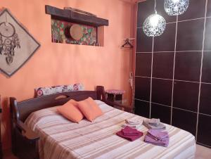 A bed or beds in a room at Shanti Ca' casa indipendente con giardino