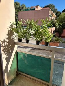 una fila de plantas en macetas sentadas en un balcón en Studio meuble bord de mer, en Bormes-les-Mimosas