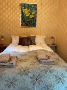 a bedroom with a bed with two towels on it at Audkula Dome Cabin in Hella