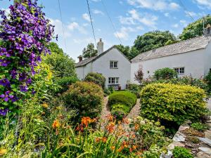 a garden in front of a white house with flowers at 3 bed property in Bude 53607 in Jacobstow