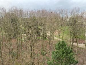 uma vista superior de uma floresta com árvores e um campo em The Place to Be em Le Blanc-Mesnil