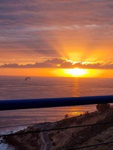 a bird flying over the ocean at sunset at Riad Ras Lafaa in Safi
