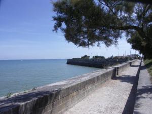 a stone wall next to the ocean with a tree at Les Mouettes Appartement cosy avec piscine in Saint-Martin-de-Ré