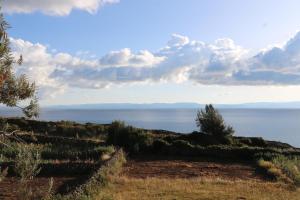 Gallery image of SUNSET Lodge Amantani in Amantani