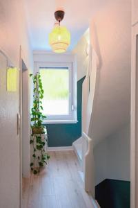 un couloir avec une fenêtre et une plante en pot dans l'établissement Belle 80 - beautiful renovated 1865 house, à Eupen