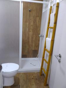 een badkamer met een douche, een toilet en een ladder bij Casa Malaquias in Santo André