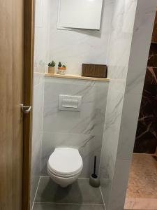 W pokoju znajduje się łazienka z białą toaletą. w obiekcie Style of Industry w mieście Morbier