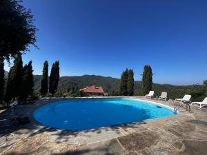uma grande piscina com duas cadeiras de jardim em redor em Agriturismo D'ambiano em Arezzo