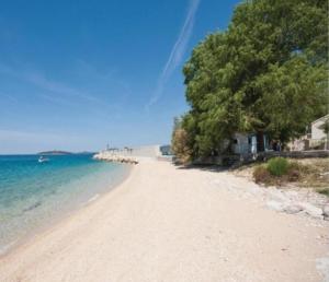 a sandy beach with trees and the ocean at Ema in Prvić Šepurine